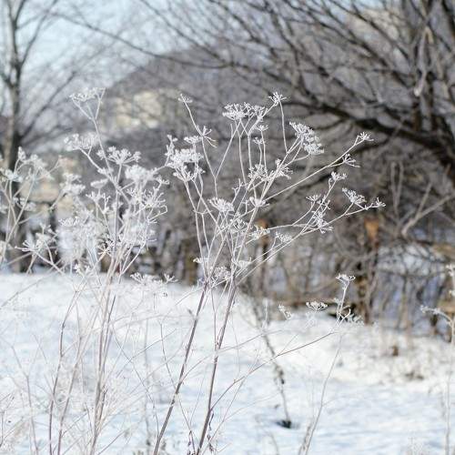 Photo #5934043