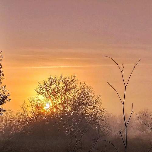 Nature's Heart