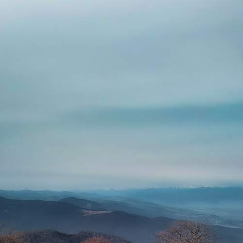 Photo #5934237