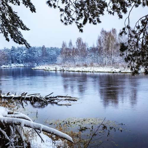Photo #5934371