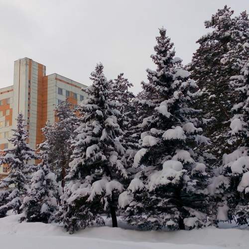 Photo #5934488