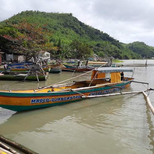 Photo #5934700
