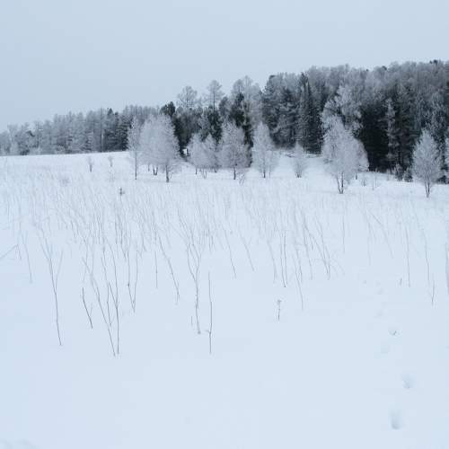 Горный Алтай