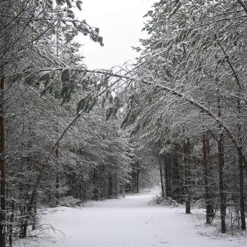 Photo #5934963