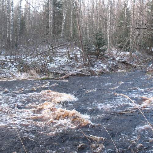 Photo #5934965