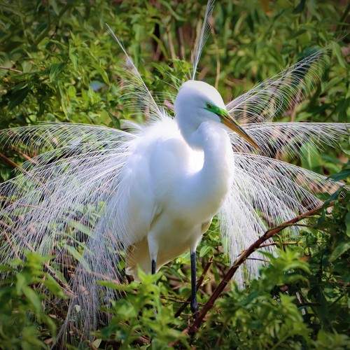 Photo #5935285