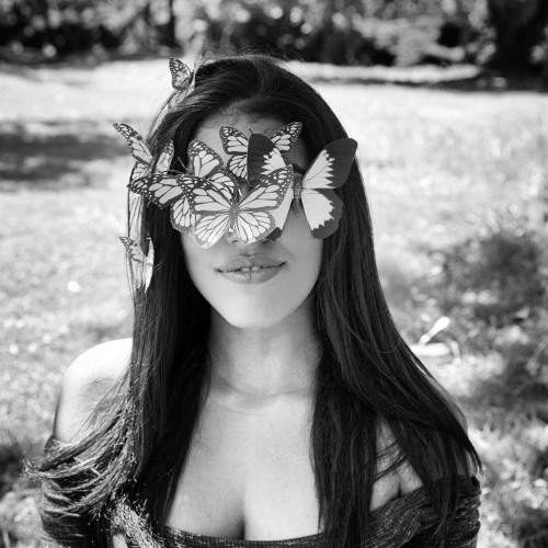 Photo #5935581