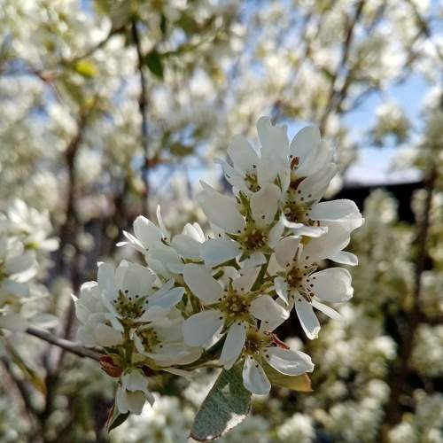 Photo #5935603