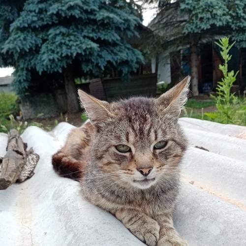 Photo #5935604