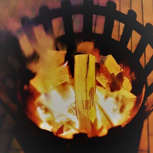 Photo #5935674