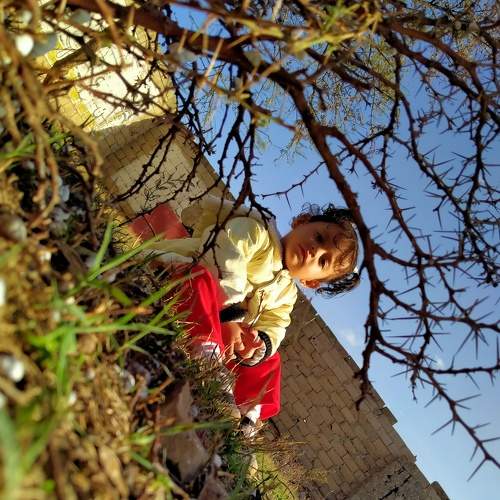 Photo #5935682