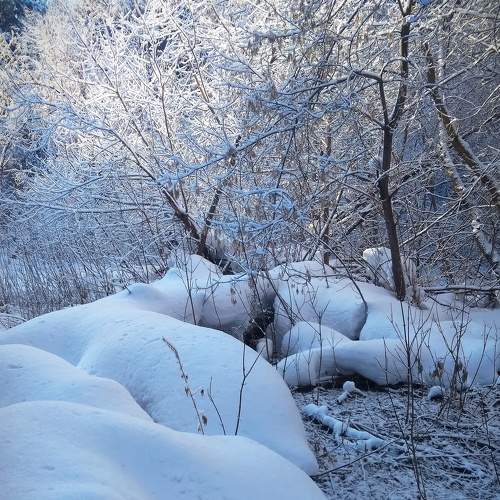 Photo #5935702