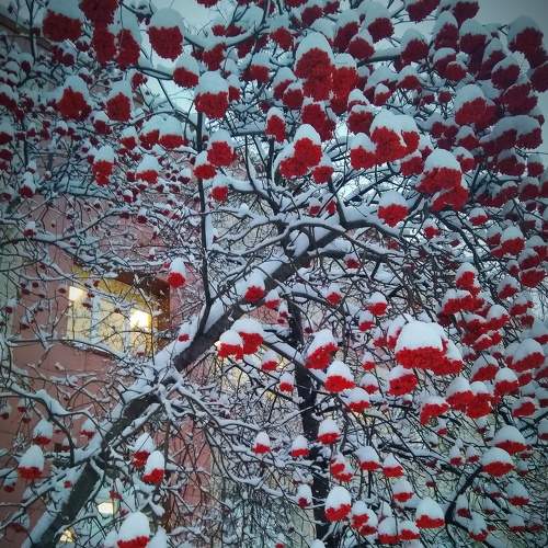 Photo #5935710