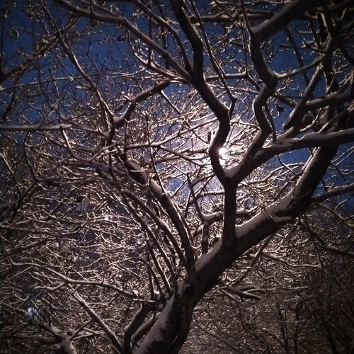Photo #5935720