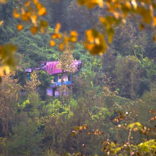 Photo #5935810