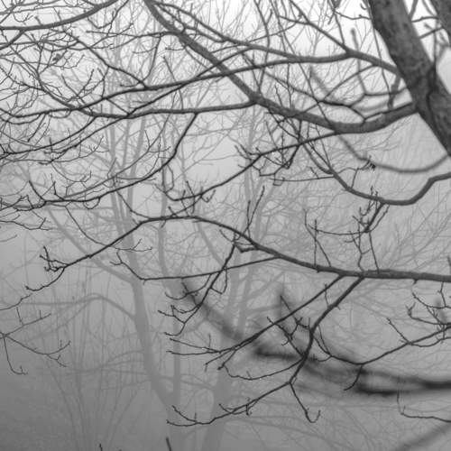 Photo #5935833