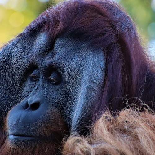 Photo #5936230