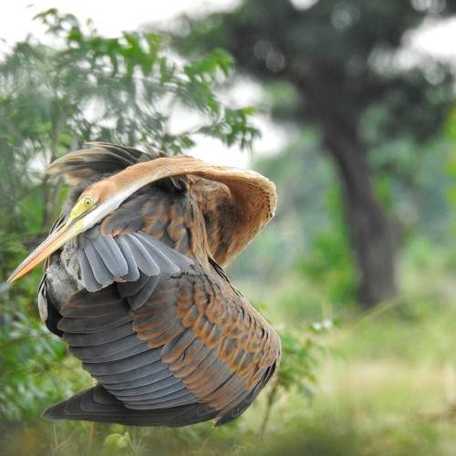 Photo #5936421