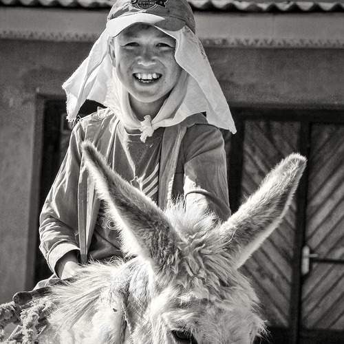 Photo #5936432