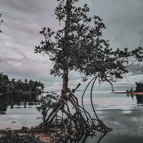 Photo #5936440