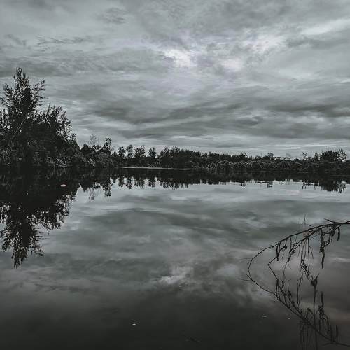Photo #5936463