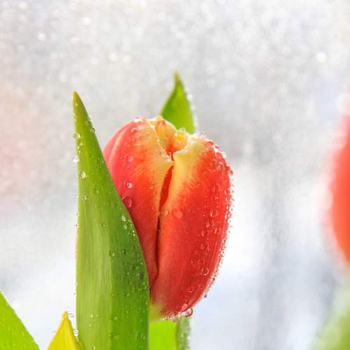 Photo #5936659