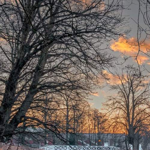 Photo #5936679