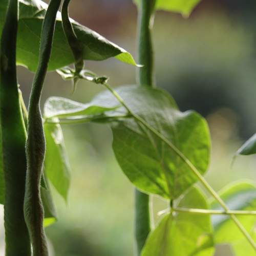 Photo #5936741