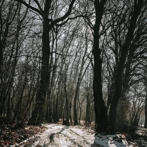 Photo #5936790