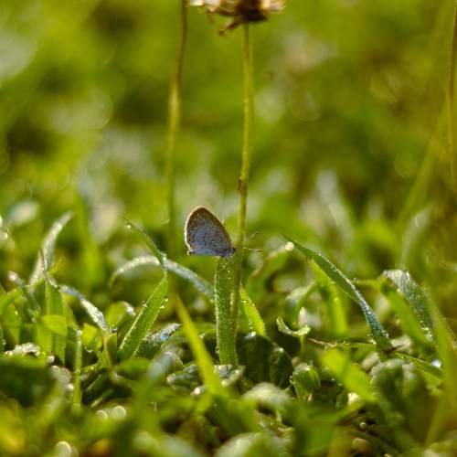Photo #5936931