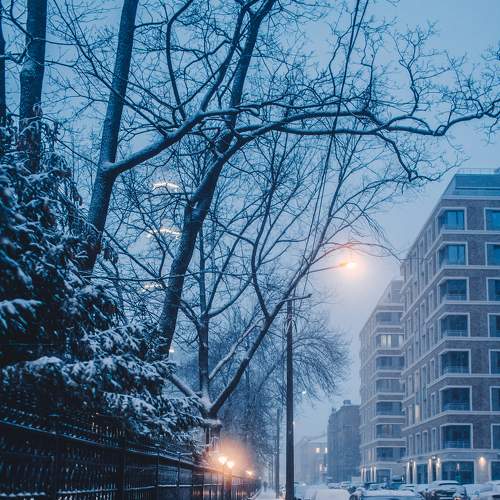 Photo #5937036