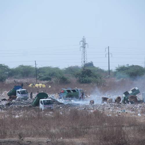 Photo #5937100