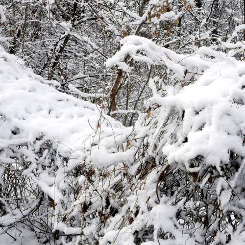 Photo #5937136