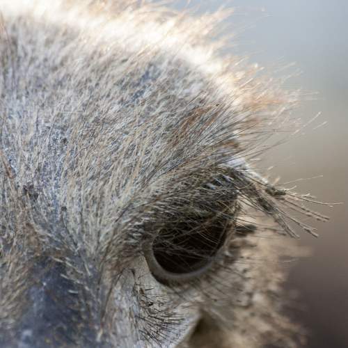 Photo #5937225