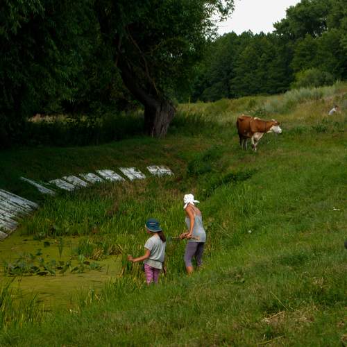 Photo #5937339
