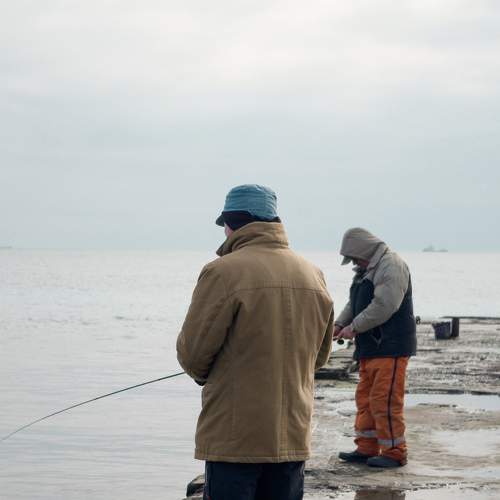 Photo #5937341