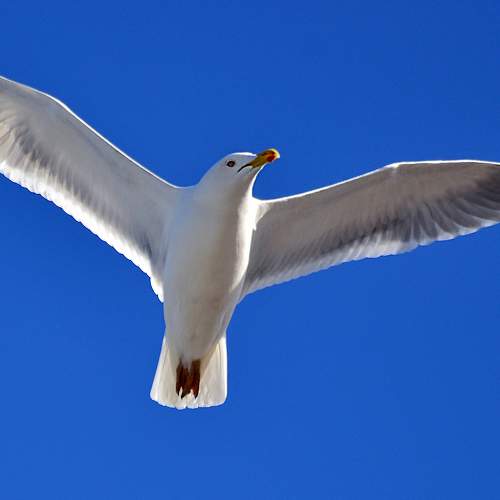 Photo #5937377