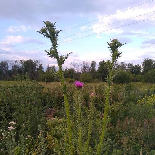 Photo #5937424
