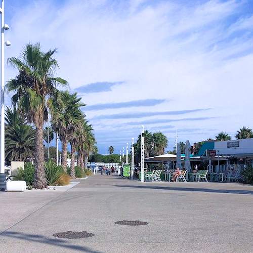 Photo #5937472