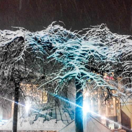 Photo #5937527