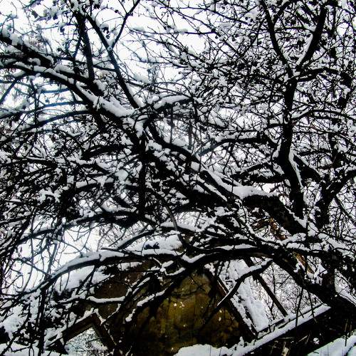 Photo #5937530