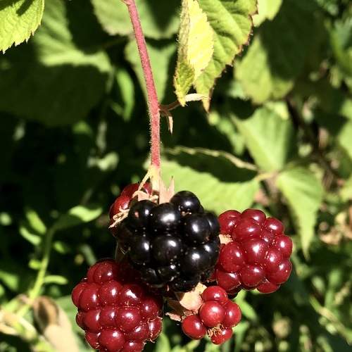 Photo #5937604