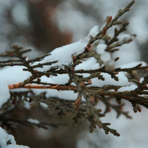 Photo #5937809