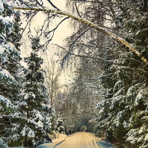 Photo #5937942