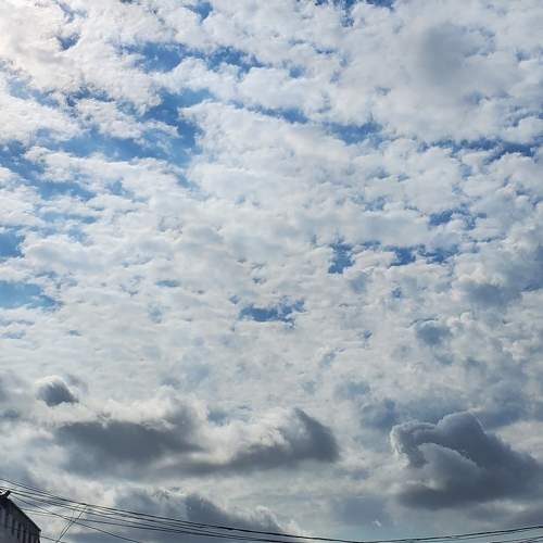 Photo #5938046