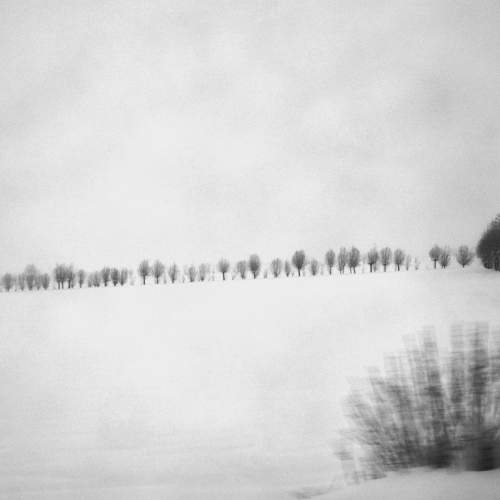 Photo #5938118