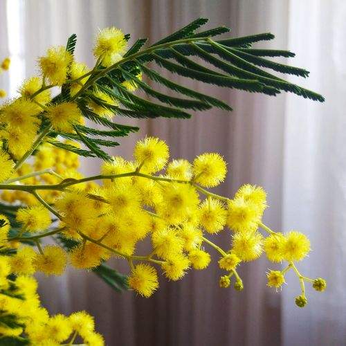 Photo #5938287