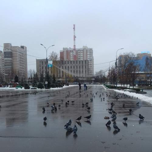 Photo #5938531