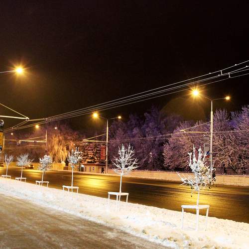 Photo #5938550