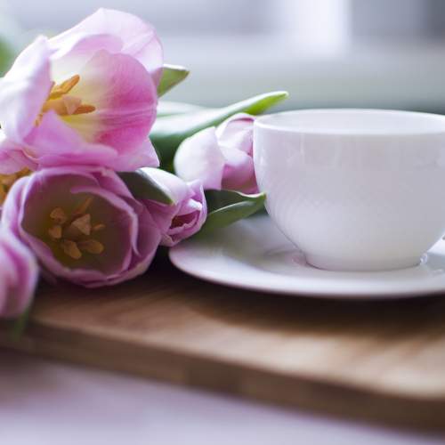 Photo #5938561